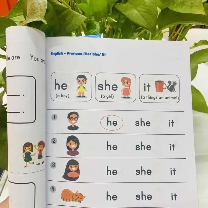 Cahier d'exercices d'apprentissage de la grammaire anglaise pour les élèves du primaire