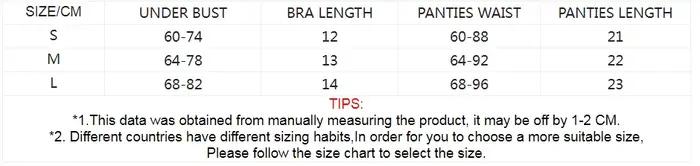 Ensemble de Lingerie féerique à armatures, soutien-gorge en dentelle transparente, culotte, sous-vêtements floraux pour femmes