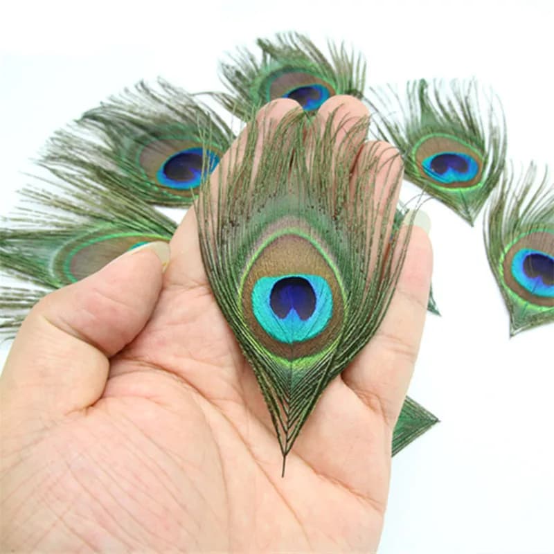 20 pièces/lot vraie plume de paon 13-16CM plumes de paon pour la décoration des yeux accessoires art