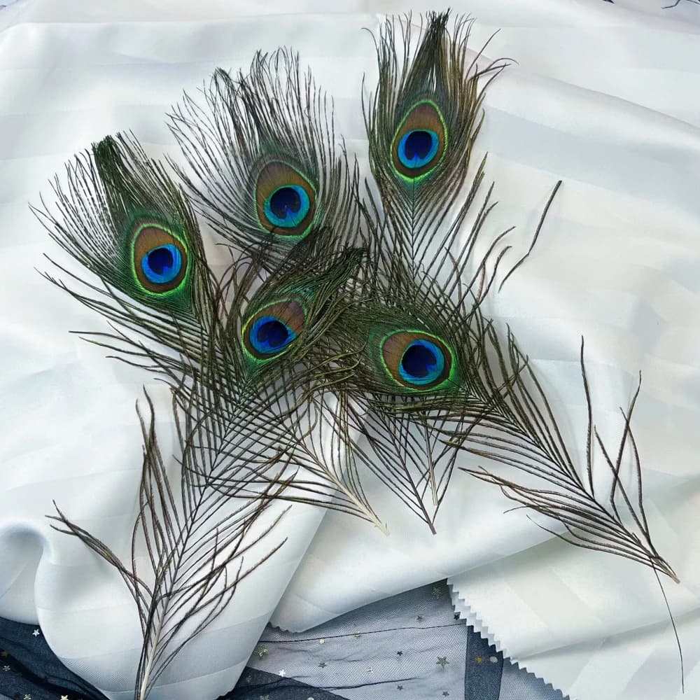 Plumes de paon naturelles, grandes et réelles, en gros, pour mariage, fête, décoration de vase, arti