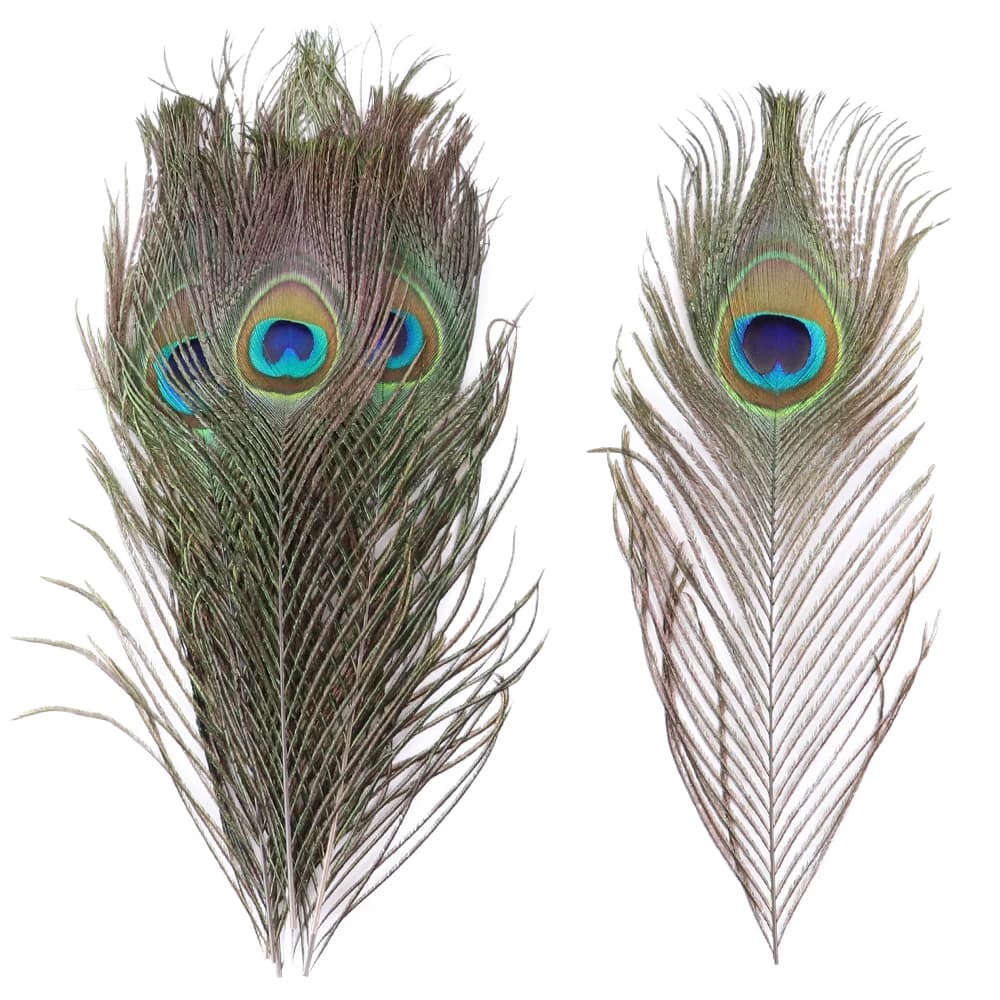 Plumes de paon colorées 25-30 CM, plumes naturelles à grands yeux, 10-12 pouces, vêtements de maison