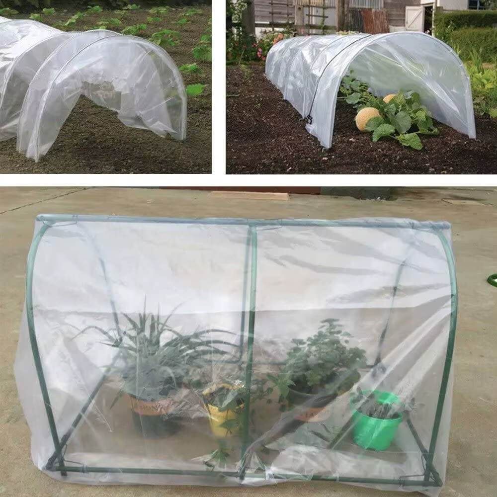 Film de serre en plastique transparent, 6.5 pi x 32 pi, 3.1 mil, polyéthylène, pour tunnel de croiss