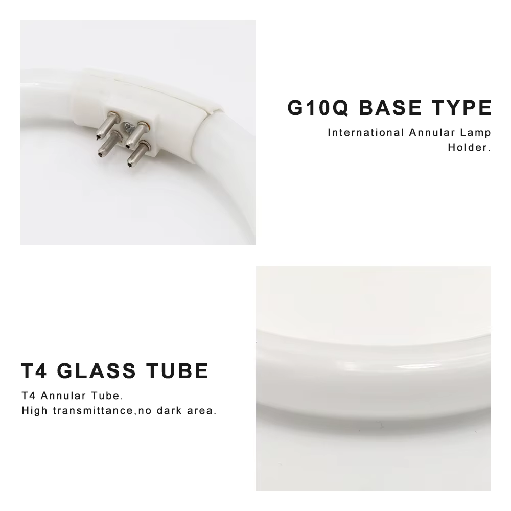 Tubes annulaires lumineux tri-phosphore, loupe, Tube circulaire, lampe fluorescente, anneau lumineux