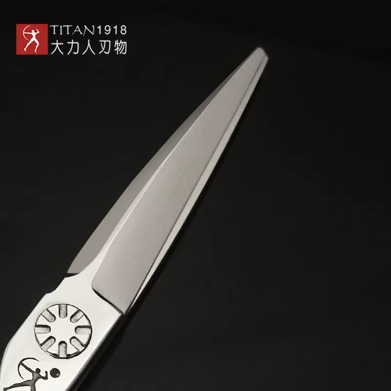 TITAN SCISSORS Ciseaux à cheveux professionnels 5,5 pouces 5,0 pouces