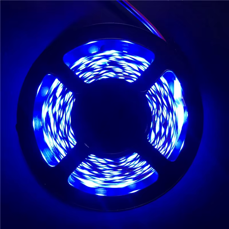 Bande lumineuse LED 12V 5M 300 LED SMD 3528, bande à diodes RGB et couleurs uniques, ruban LED de ha