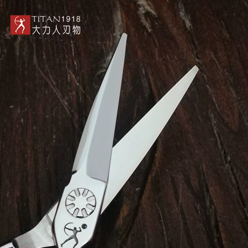 TITAN SCISSORS Ciseaux à cheveux professionnels 5,5 pouces 5,0 pouces