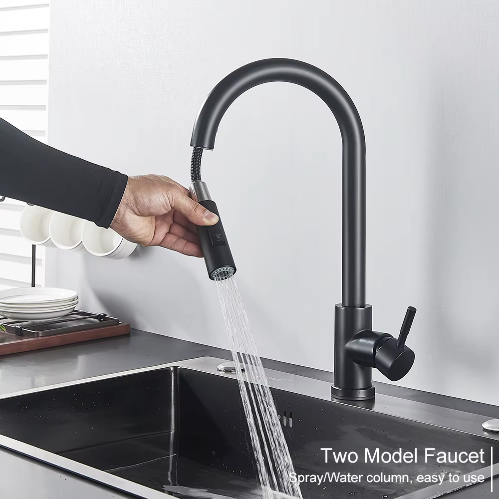 Robinet de cuisine noir à deux fonctions, mélangeur extractible à poignée unique, robinets d'eau cha