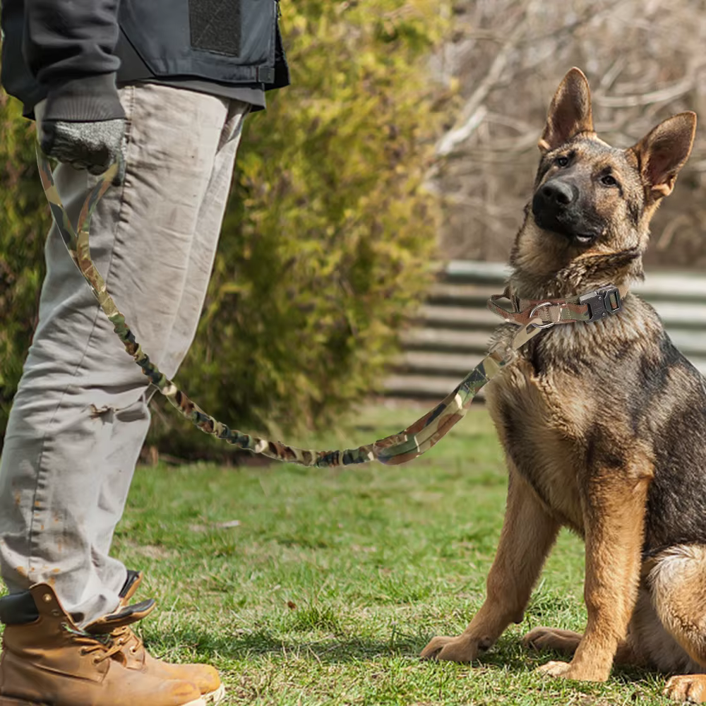 Collier tactique militaire pour chien solide, laisse élastique pour animaux de compagnie, colliers d