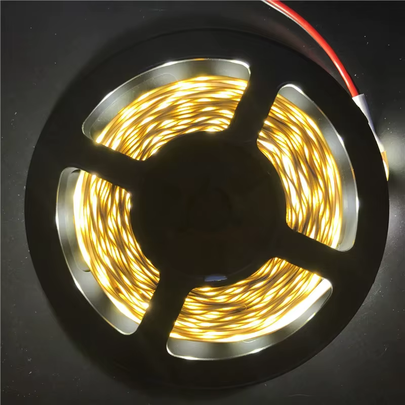 Bande lumineuse LED 12V 5M 300 LED SMD 3528, bande à diodes RGB et couleurs uniques, ruban LED de ha