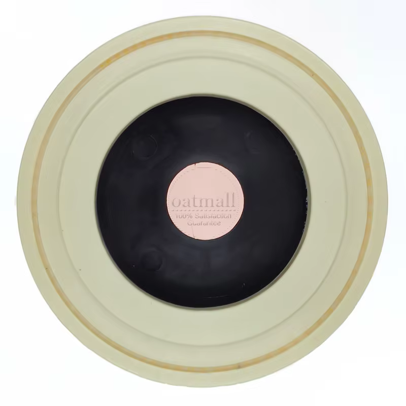 Filtre à cartouche de remplacement pour Karcher WD3 WD 3 P SE4001 WD2 WD1 MV3, filtres HEPA pour pou