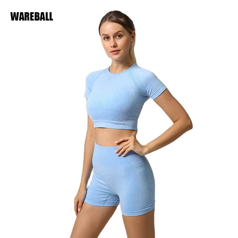 Ensemble de Yoga sans couture pour femmes, haut court, chemise à manches courtes, Short de Fitness, 