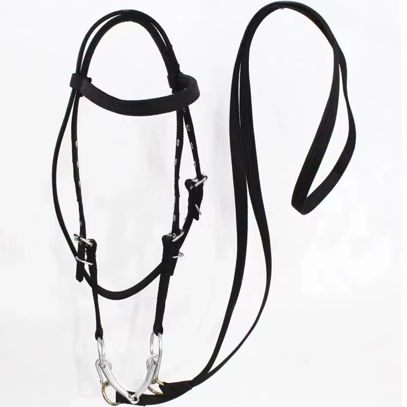 Ensemble de harnais de bride pour chevaux – Tête en cuir PU, rênes, bits – Équipement d'entraînement