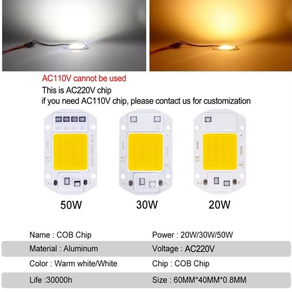 Lampe LED à puce COB 220V, 10W 20W 30W 50W, IC intelligent, pas besoin de pilote, ampoule LED 3W 5W 