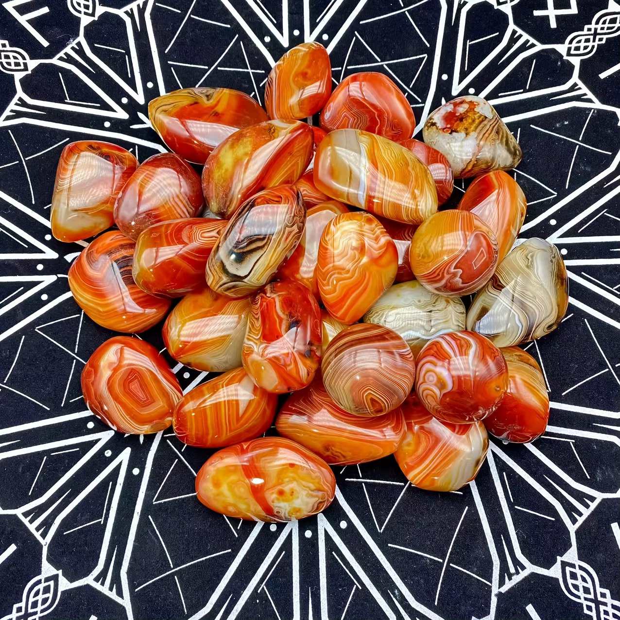 Palmier naturel aléatoire de Sardonyx, pierre de palmier d'agate polie naturelle, cristal de guériso