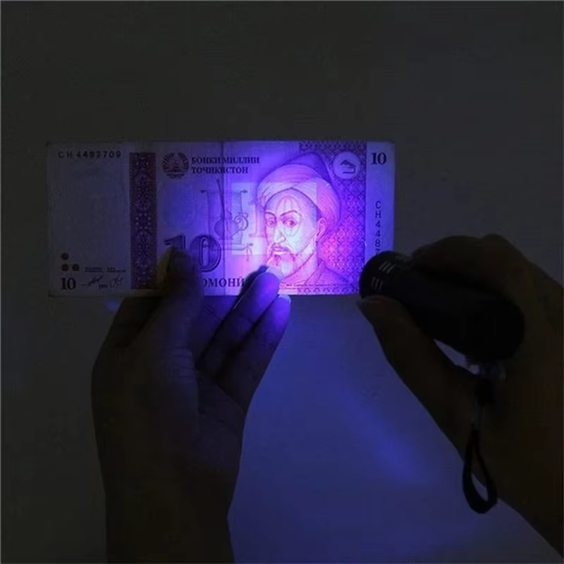 Lampe de poche UV portative à lumière noire, Mini torche lumineuse 395nm, détecteur pour chiens, tac