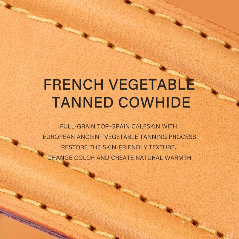 CRAZYSMITH Vachetta Sangle de sac en cuir de rechange pour LV VIVA CITE PM MM couche supérieure en c