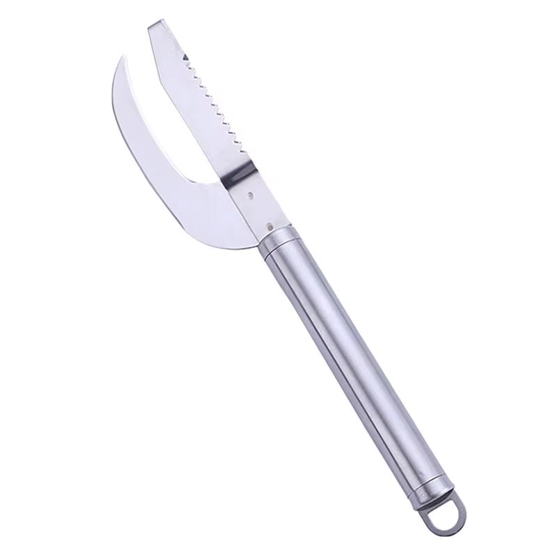 Brosse à peau de poisson 2 en 1, élimine rapide, grattoir à écailles de poisson, outil de raboteuse,