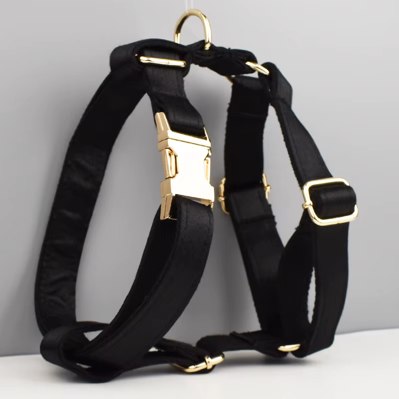 Accessoires pour animaux de compagnie : Ensemble collier, laisse et harnais en polyester soyeux de l