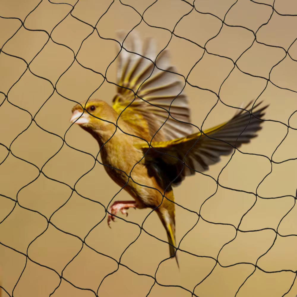 Filet anti-oiseaux en nylon pour cultures fruitières, 100 "x 50", pour protéger les arbres des oisea
