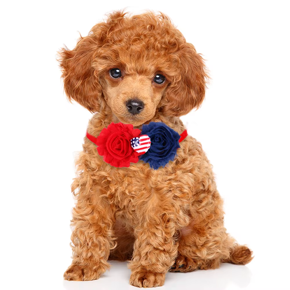 Nministériels d papillon fleur pour chien, collier pour animaux de compagnie, petit chien, chat, acc