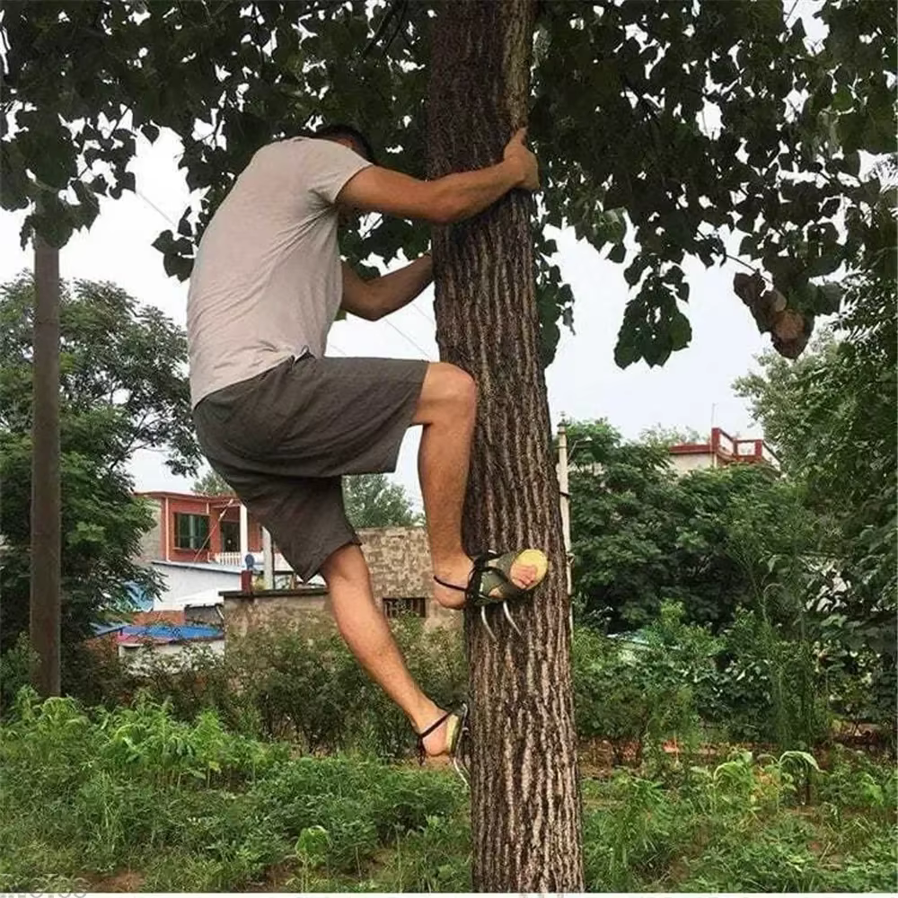 Outil d'escalade d'arbre, pointes d'escalade pour chaussures de chasse, escalade d'arbre en acier, c