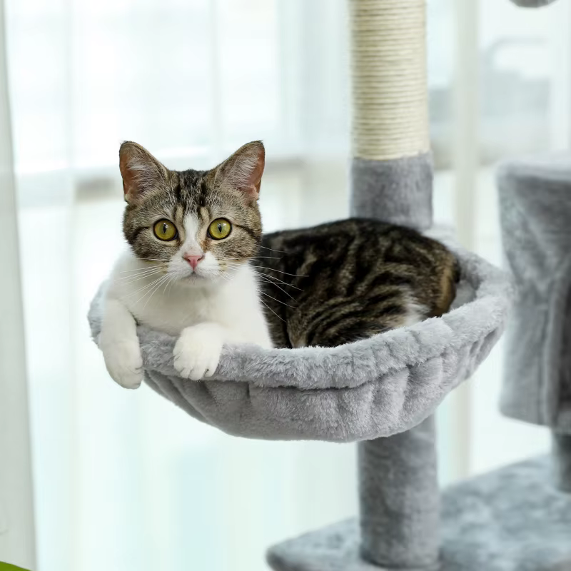 Arbre à Chat pour Grands Chats Adultes avec Super Grand Perchoir Supérieur, Tour pour Grands Chats a