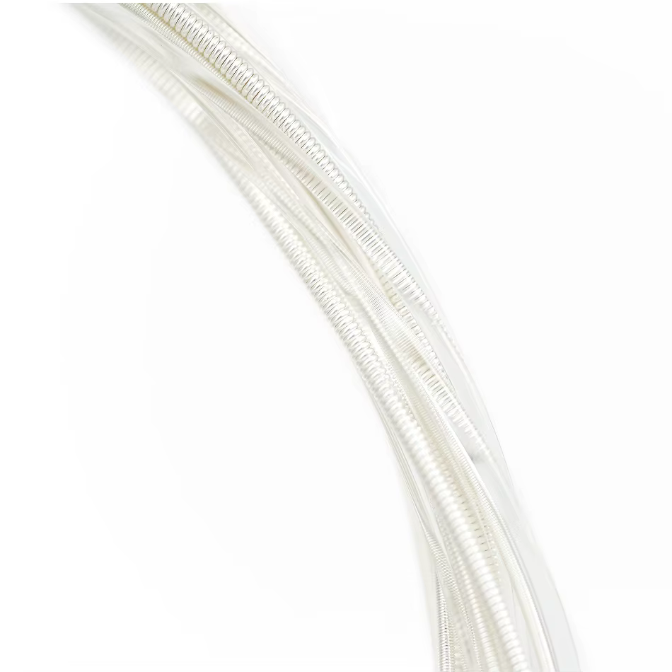 Alice AC130 guitare classique professionnelle cordes de guitare plaqué argent cuivre enroulé clair N