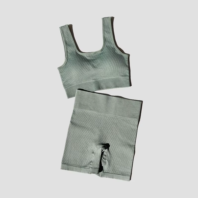 Ensemble de Yoga pour femmes, 2 pièces, soutien-gorge Sexy sans couture, short de Sport, vêtements d
