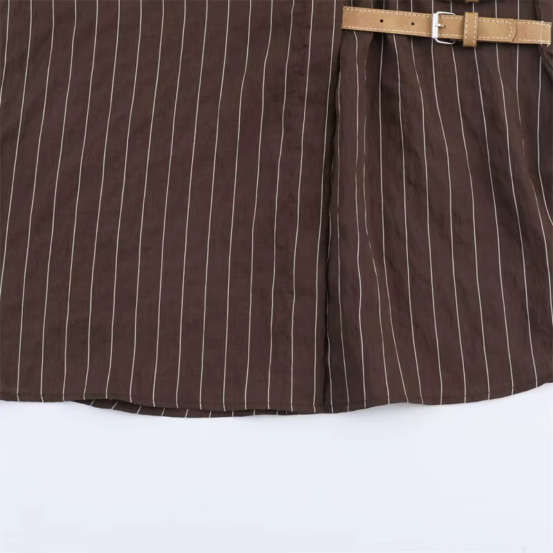 Chemise femme 2025 hiver nouveau Style chemise à manches longues rayée marron rougeâtre avec décor d