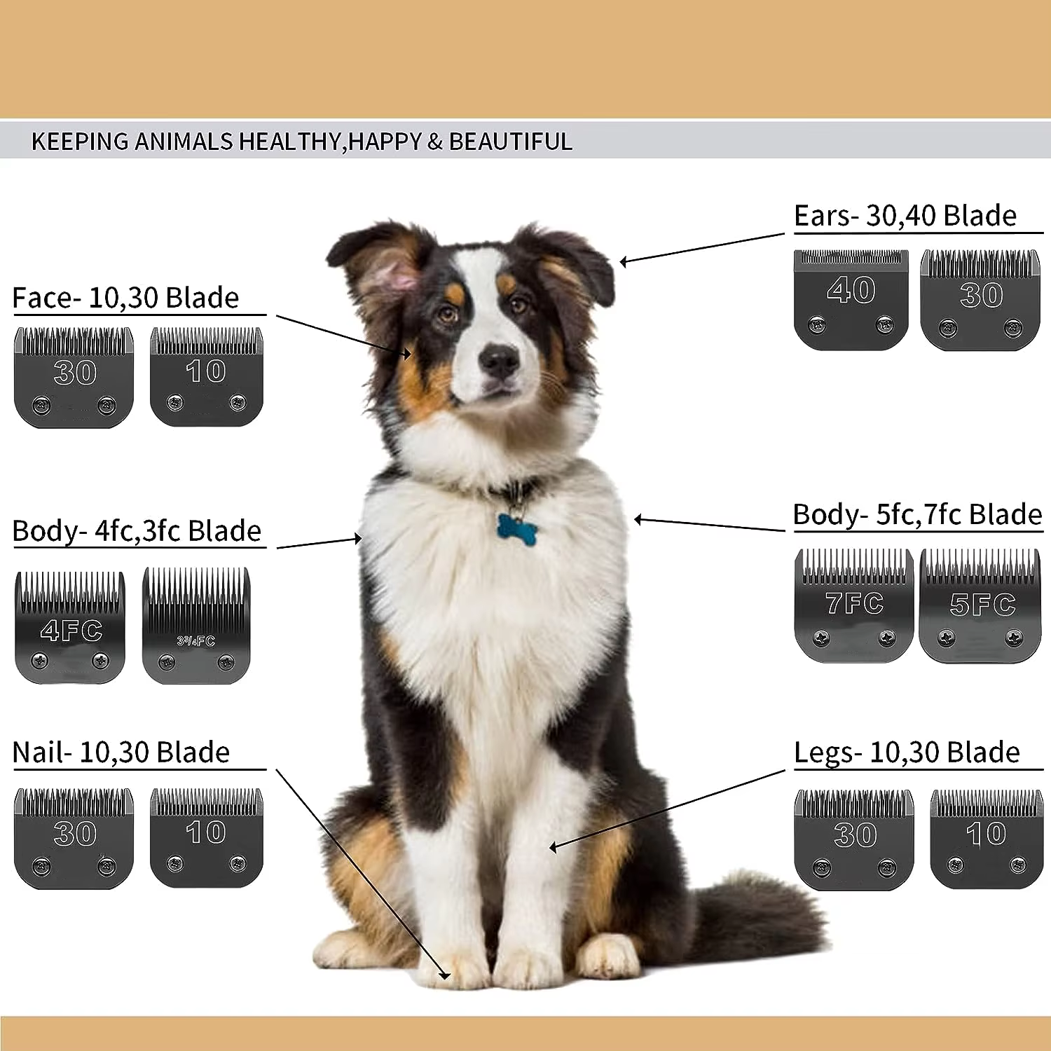 Ensemble de tondeuses de toilettage pour chiens, poignées noires, acier inoxydable, compatible avec 