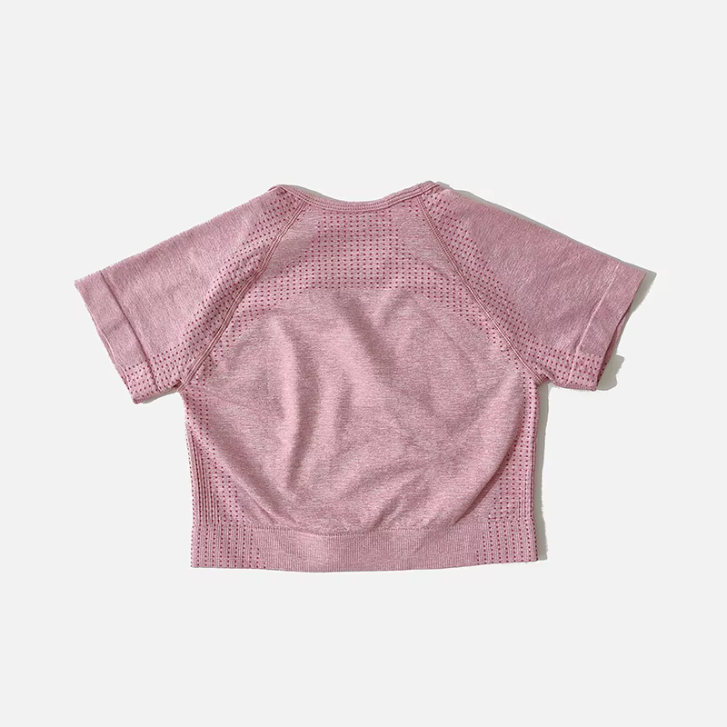 Ensemble de Yoga sans couture pour femmes, haut court, chemise à manches courtes, Short de Fitness, 