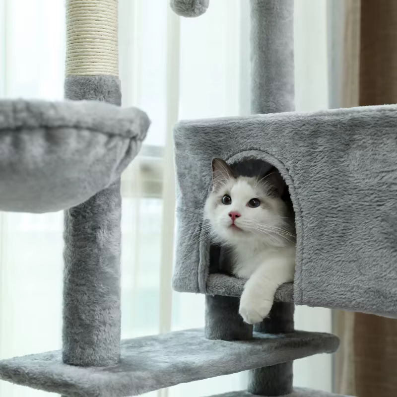 Arbre à Chat pour Grands Chats Adultes avec Super Grand Perchoir Supérieur, Tour pour Grands Chats a