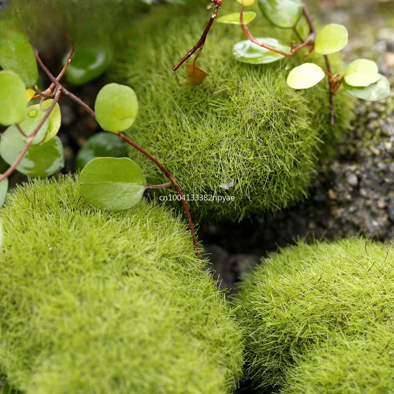 Boule de Mousse Verte Artificielle, Fausse Pierre, Plante de Simulation, Décoration de Bricolage pou