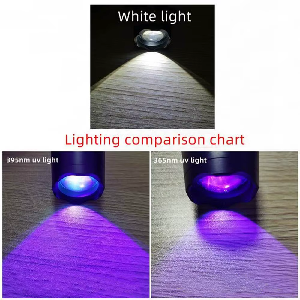 Zoom 2in1 UV 365 395nm + lumière blanche, lampe de poche d'éclairage, chargeur USB, chat, chien, Uri