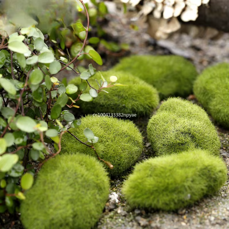 Boule de Mousse Verte Artificielle, Fausse Pierre, Plante de Simulation, Décoration de Bricolage pou