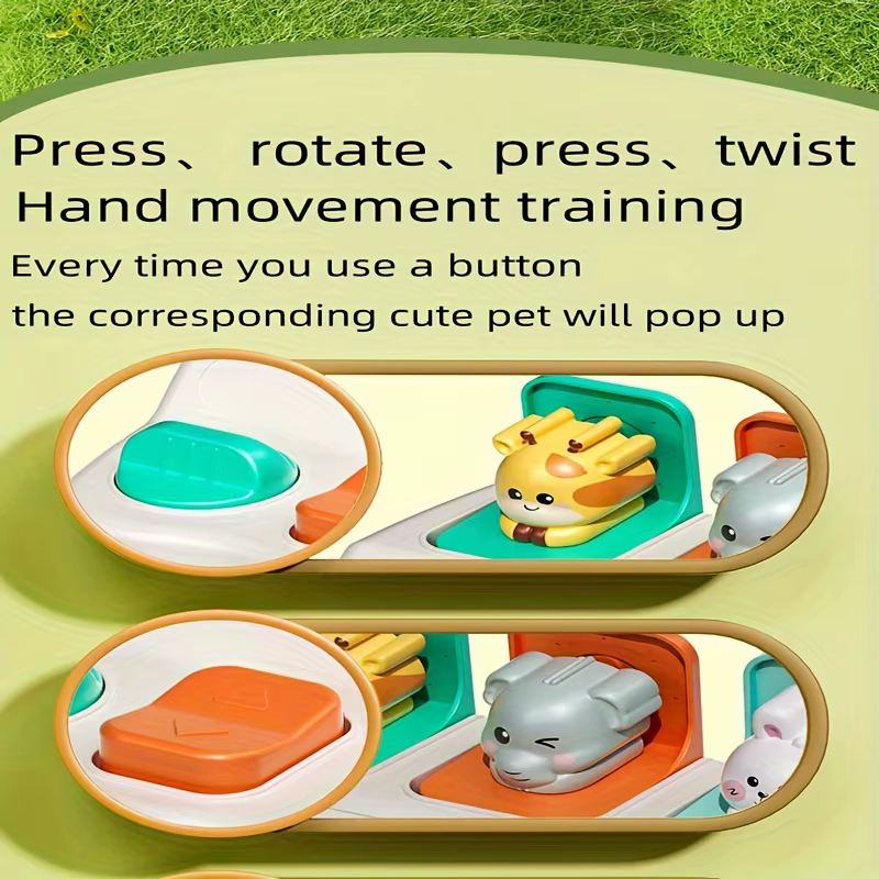 Jouets animaux pop-up Montessori et boîtes d'apprentissage – Améliore la logique et les motricité, c