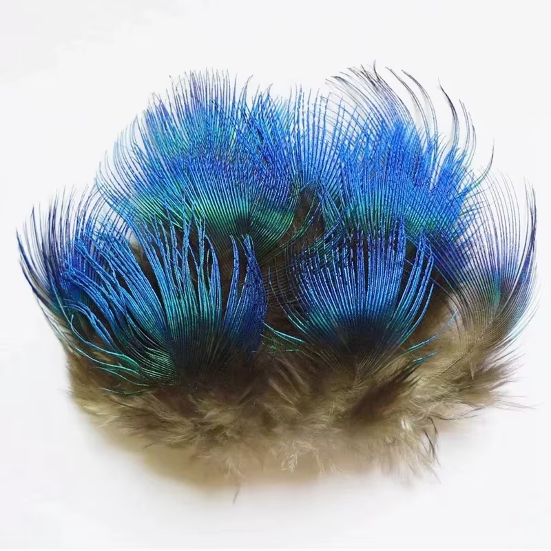 Plumes de paon bleues naturelles pour l'artisanat, 3-7 cm, travaux d'aiguille, bijoux, artisanat, ac