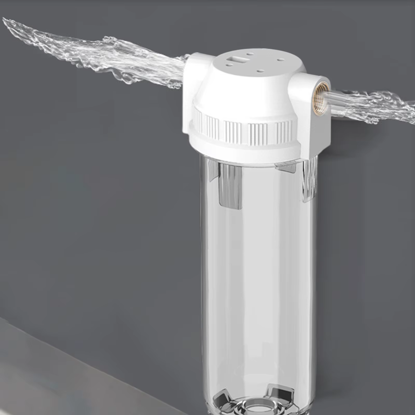 Filtre de bouteille résistant de 10 pouces, filtres à eau PET transparents remplaçables pour purific