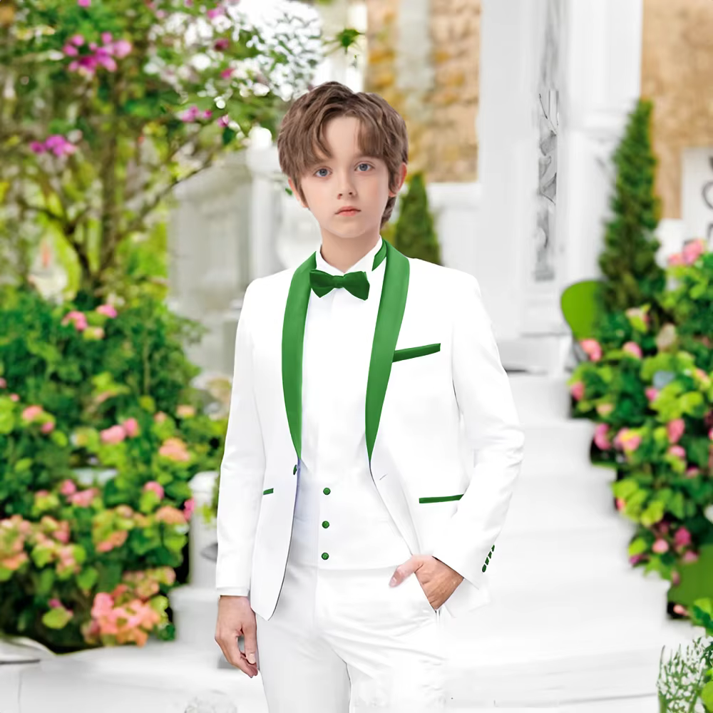 Costume ajusté pour garçons, 2 pièces, vêtements de Performance de Piano, smoking Chic à revers châl