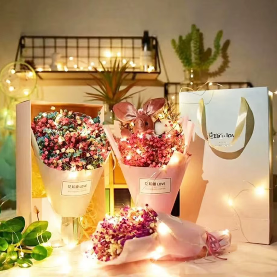 Mini guirxiété lumineuse LED étanche dégradée, fil de cuivre, veilleuse, mariage, fête de Noël, 1m,
