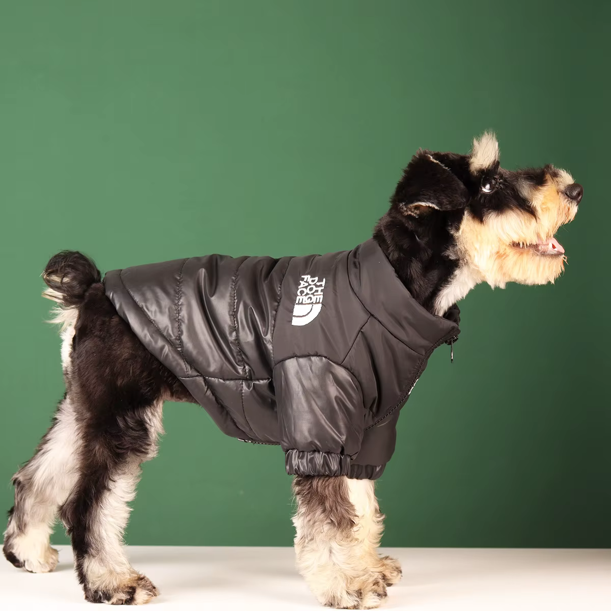 Vêtements d'hiver pour grands animaux de compagnie, veste coupe-vent chaude pour petit et moyen gaba
