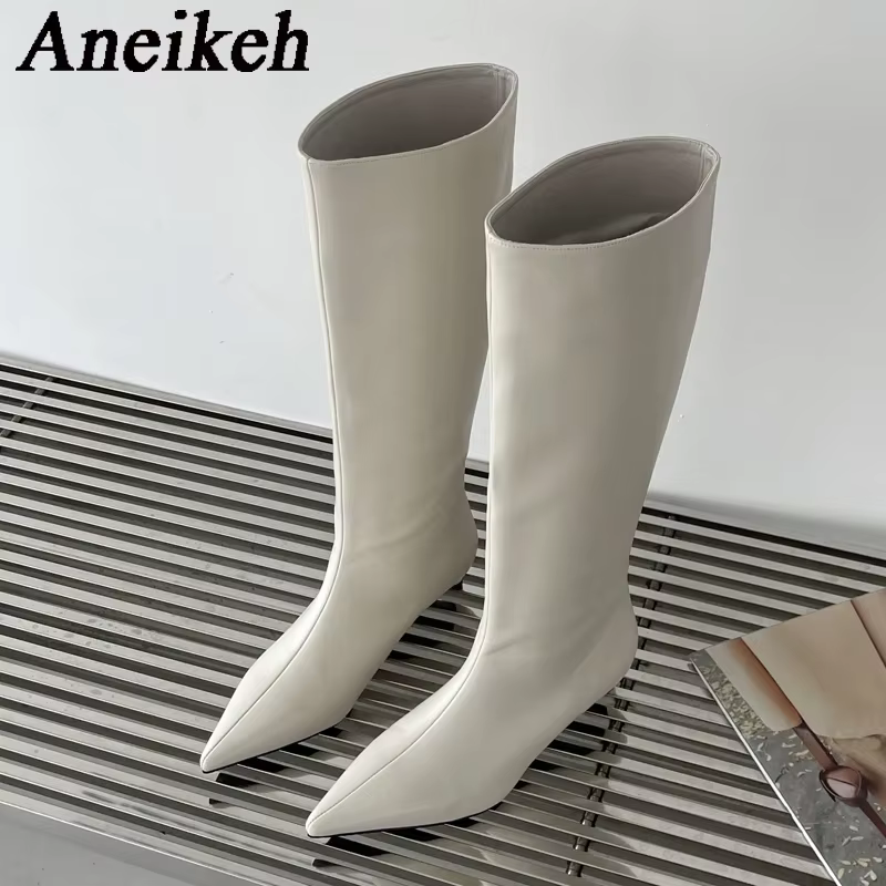 Aneikeh 2026 mode Sexy pointu talons bas genou bottes longues femmes printemps/automne PU couture fê