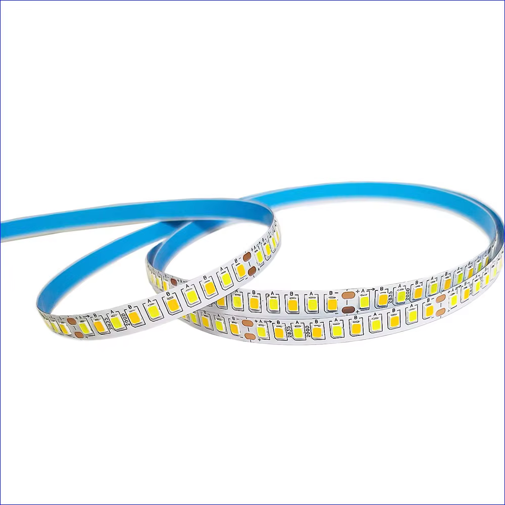 Bande LED à courant constant de 5 mètres, 2835-7mm-180D et 200D, 3 couleurs, ruban LED 3000K + 6500K