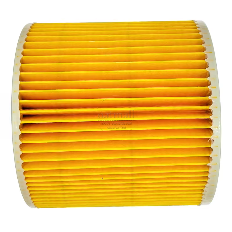 Filtre à cartouche de remplacement pour Karcher WD3 WD 3 P SE4001 WD2 WD1 MV3, filtres HEPA pour pou