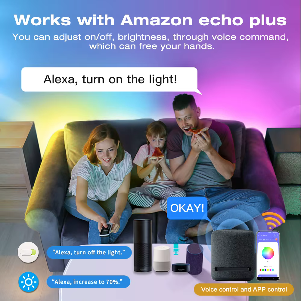 WS2811 RGBIC LED Pixel bandes lumineuses 24V 5M 10M 15M 20M Wifi intelligent Alexa commande vocale a