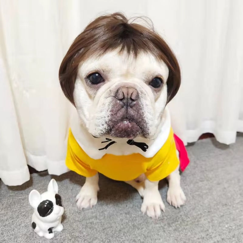 NONOR-Perruques pour animaux de compagnie, accessoires de cosplay, chapeau en élasthanne croisée, ol