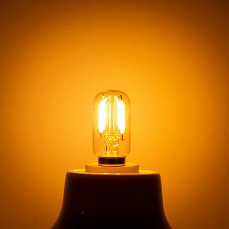 Genixgreen DC AC 12 V 24 V E14 LED ampoule T22 1 W basse tension ampoule à Filament tubulaire E12 ca
