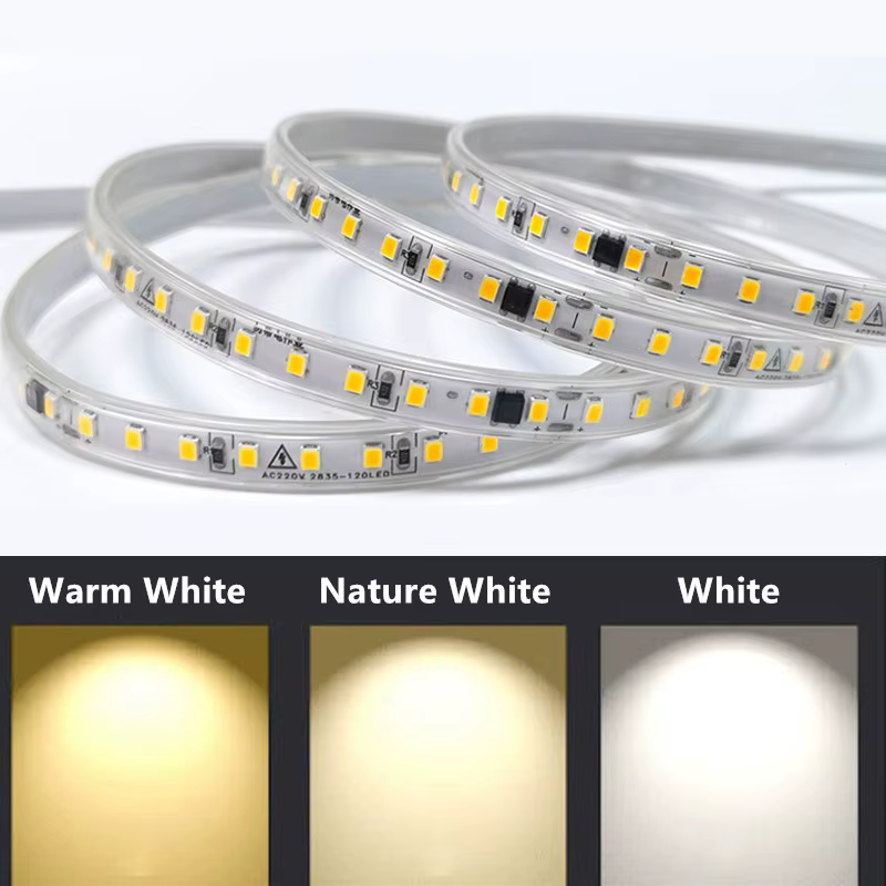 Bande lumineuse Led AC 220V, 2835 120led/M, 1M-25M, IP67, étanche, haute luminosité, bande à Diode 2