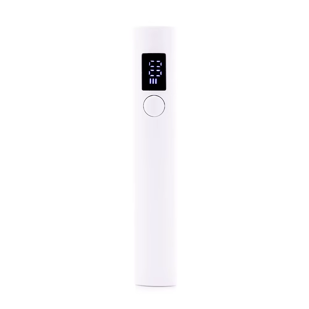 1 pièces lampe UV portative 2W longueur d'onde 365nm395nm lampe à ongles professionnelle sèche lampe