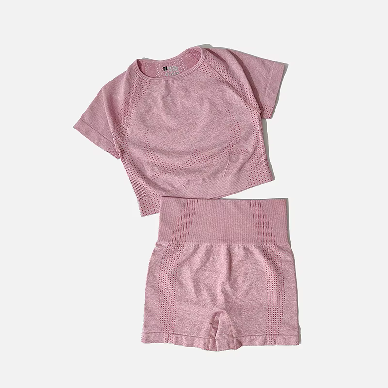 Ensemble de Yoga sans couture pour femmes, haut court, chemise à manches courtes, Short de Fitness, 